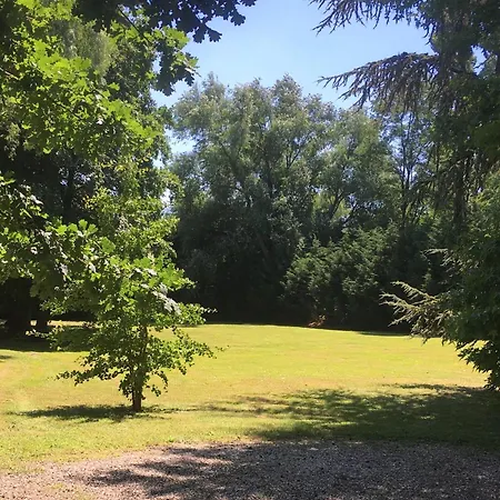 Western Alexander Park 4*